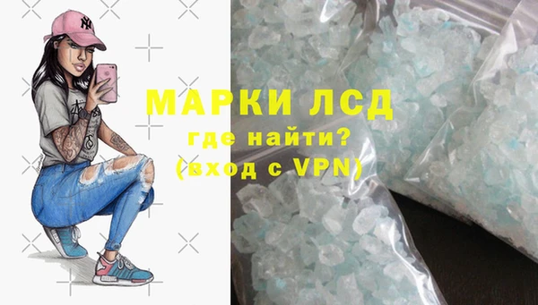 гашик Верея