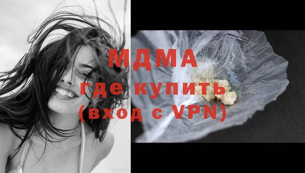 гашик Верея